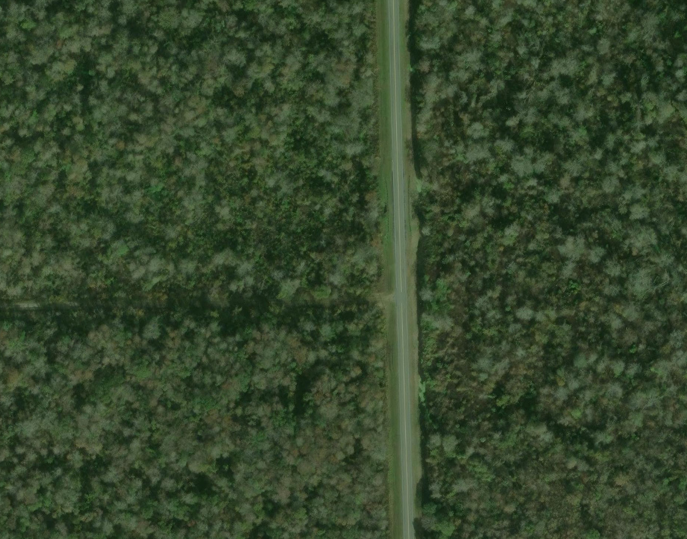Lot + immediate neighbors (all vacant wooded)