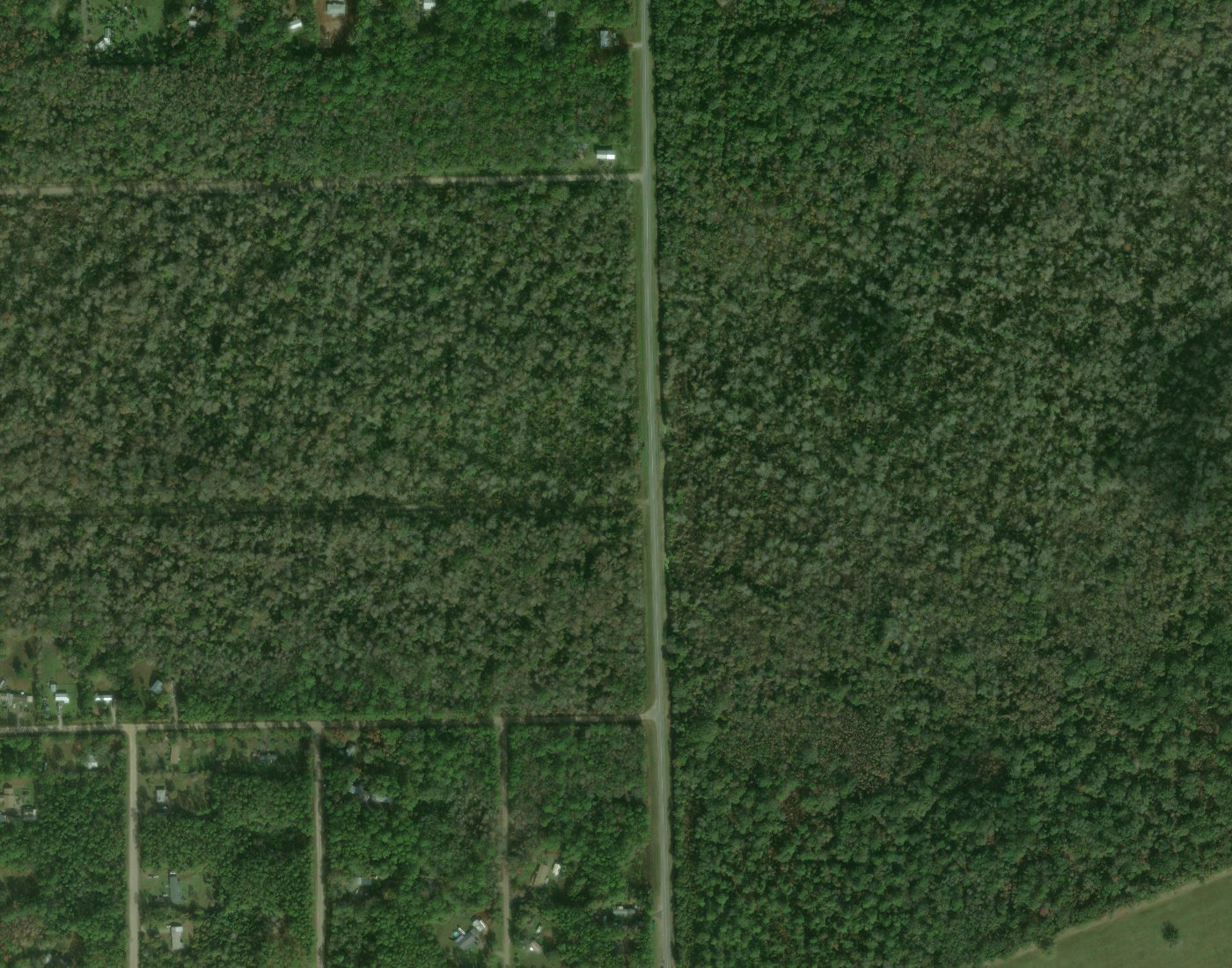 Neighborhood aerial — Daytona North block pattern