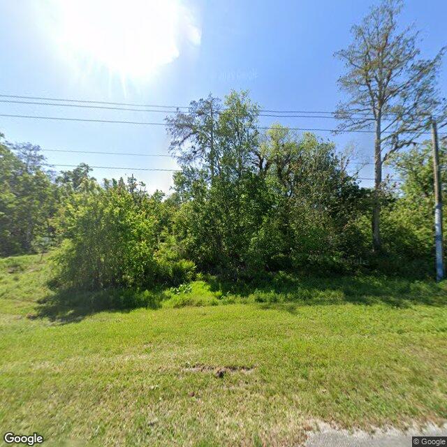 Frontage, wide FOV — tree line + wet road edge