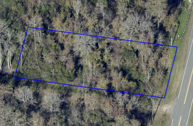 Oblique / 45° — view from east (full boundary + raw wooded neighbors)