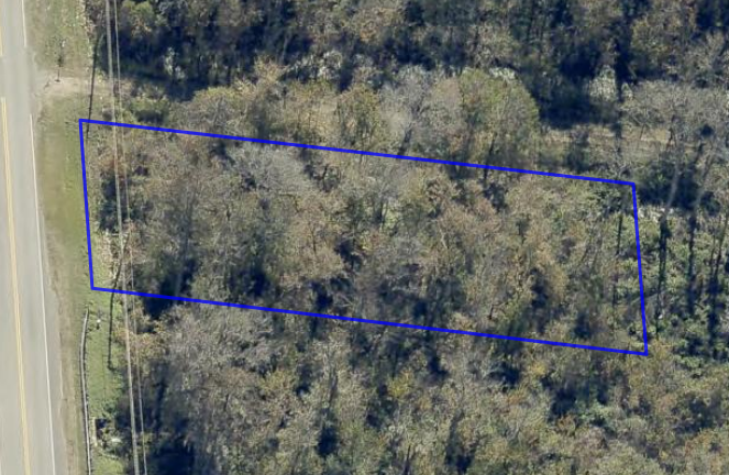 Oblique / 45° — view from north (CR 305 frontage at right, full wooded canopy)