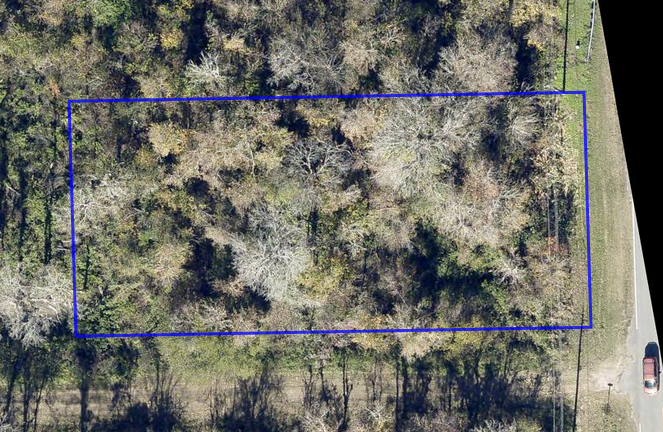 Oblique / 45° — view from south (CR 305 along upper edge, low scrubby road shoulder)