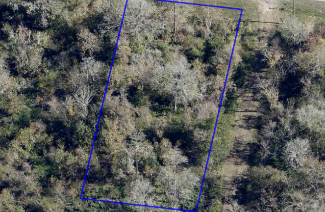 Oblique / 45° — view from west (full boundary + raw wooded neighbors)