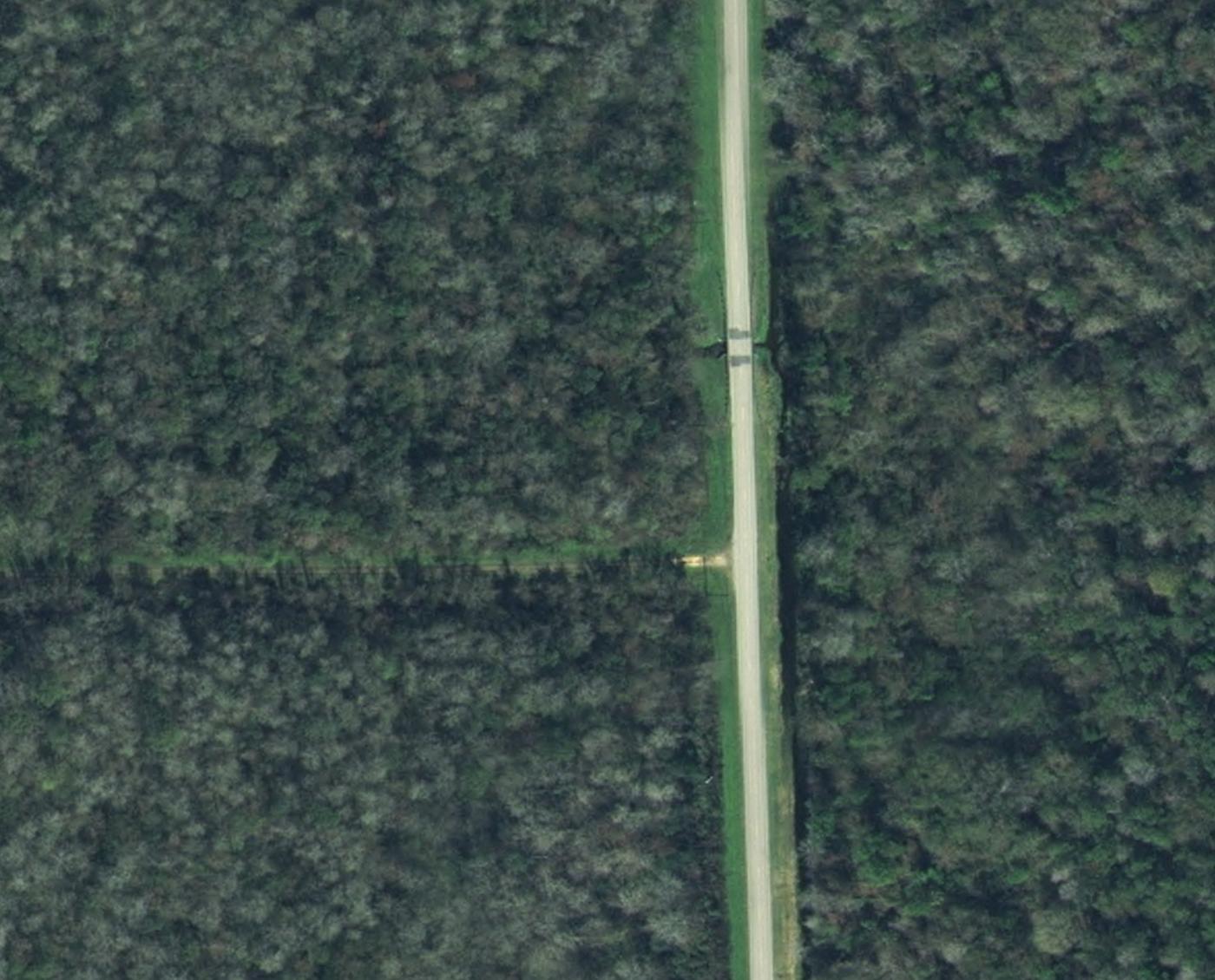 2008 — CR 305 a graded track through unbroken forest, parcel uncleared