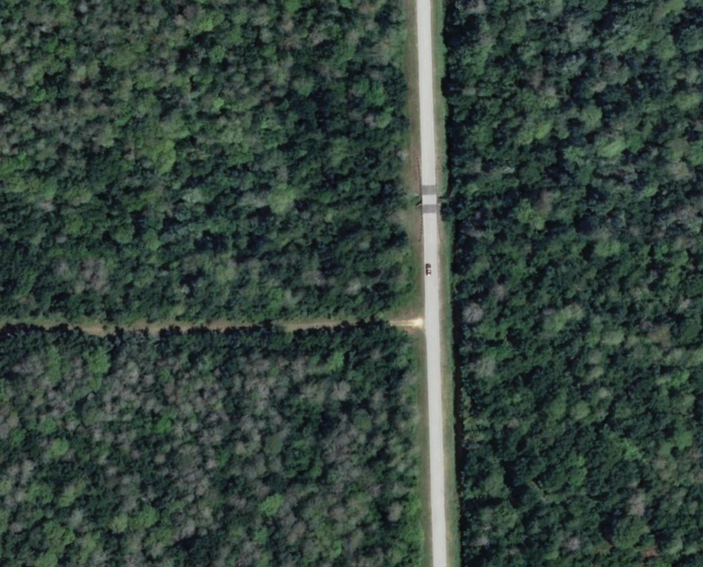 2011 — still raw forest