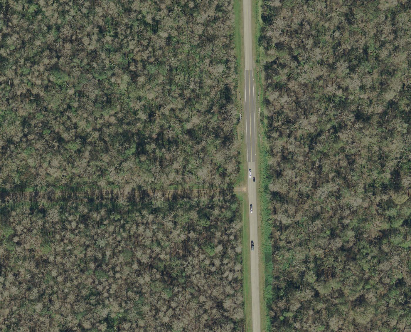 2017 — road paved, parcel + neighbors still fully wooded