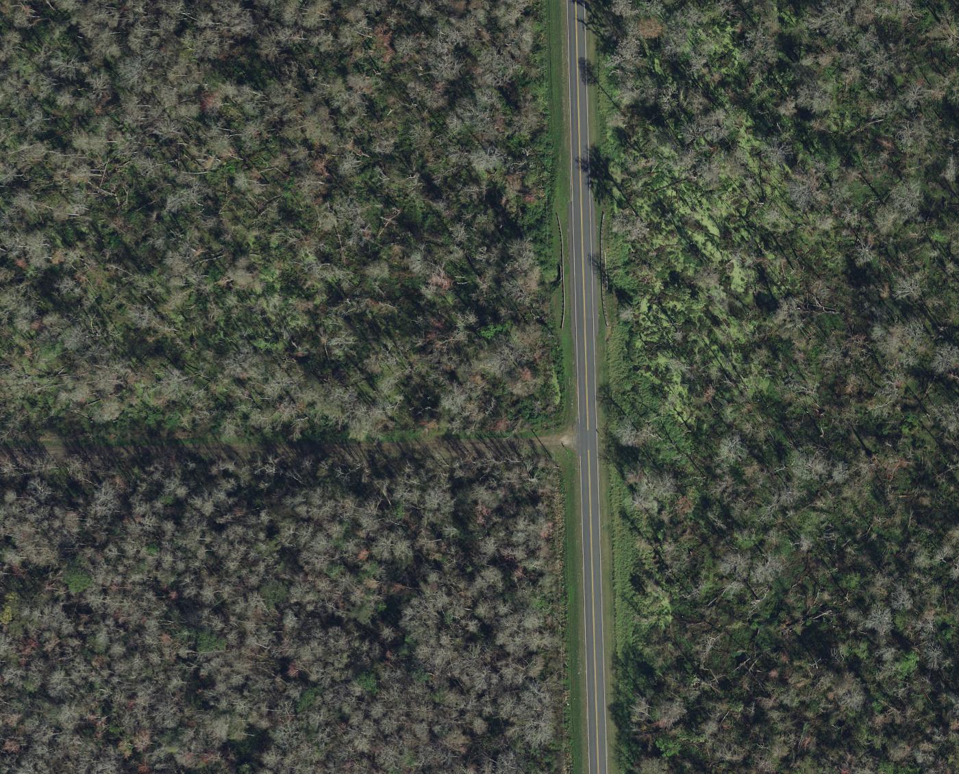 2020 — paved CR 305, no structures on parcel or abutters